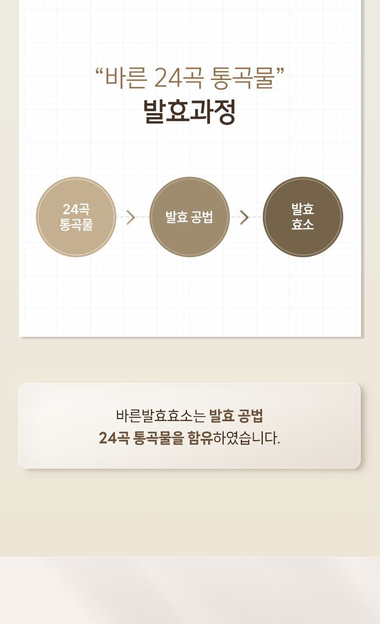 바른 발효효소 상세기술서9